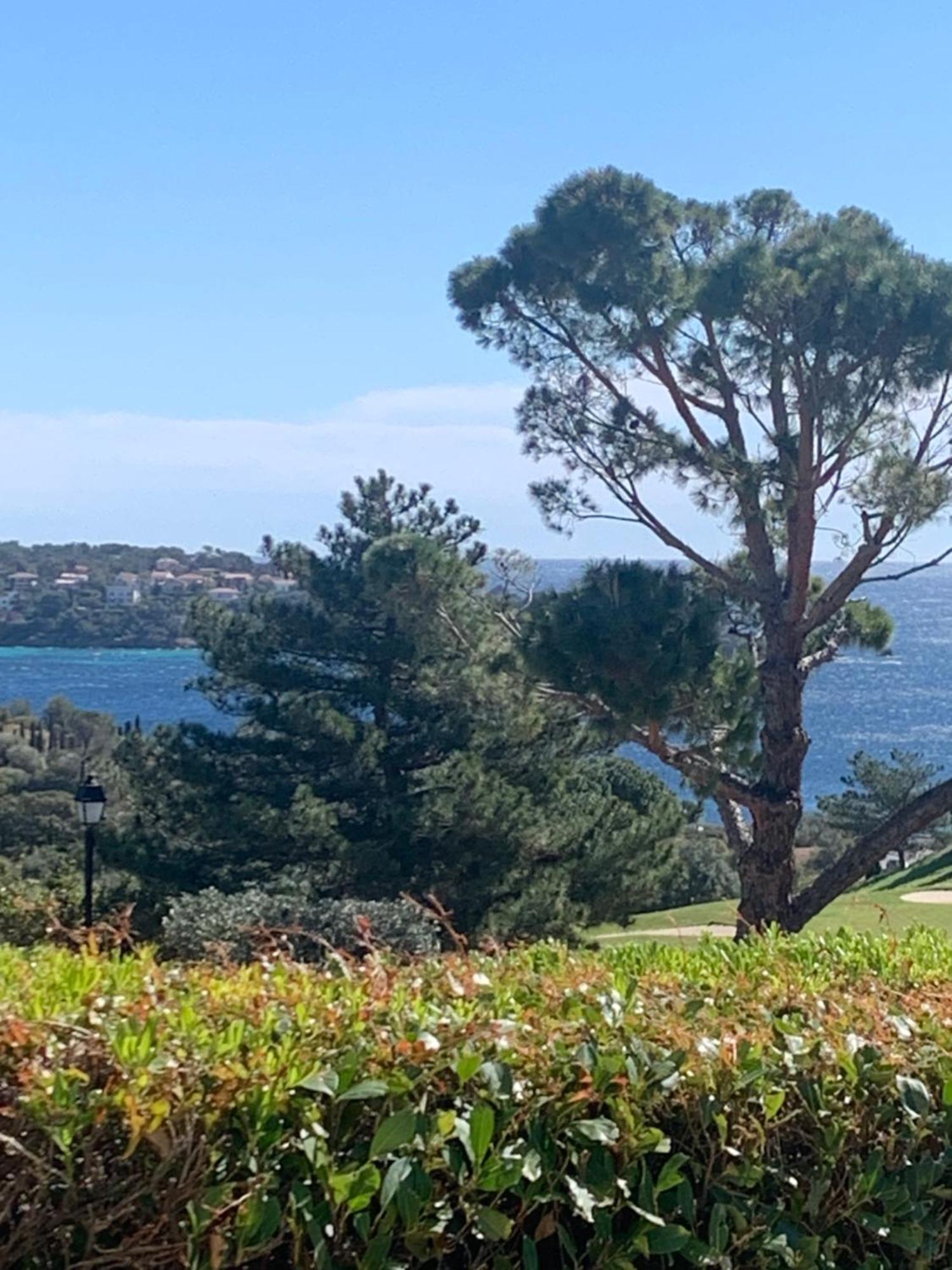 T2 En Rez De Jardin Privatif Cloture , Cap Esterel Pierre Et Vacances ,Piscine Chauffee Des Le 05 Avril Au 02 Novembre Saint-Raphaël Exteriör bild
