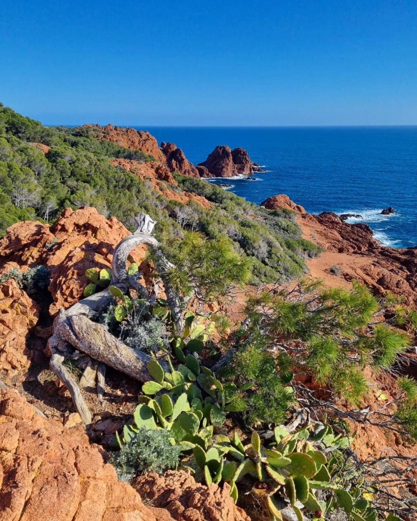 T2 En Rez De Jardin Privatif Cloture , Cap Esterel Pierre Et Vacances ,Piscine Chauffee Des Le 05 Avril Au 02 Novembre Saint-Raphaël Exteriör bild