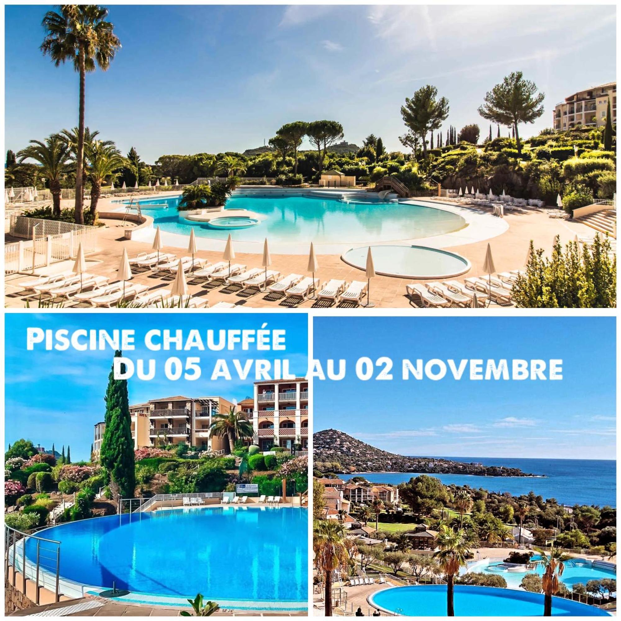 T2 En Rez De Jardin Privatif Cloture , Cap Esterel Pierre Et Vacances ,Piscine Chauffee Des Le 05 Avril Au 02 Novembre Saint-Raphaël Exteriör bild